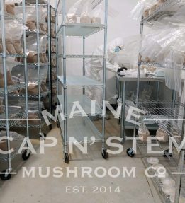 Cap N Stem Metal racks with plastic bags of mushroom spores.