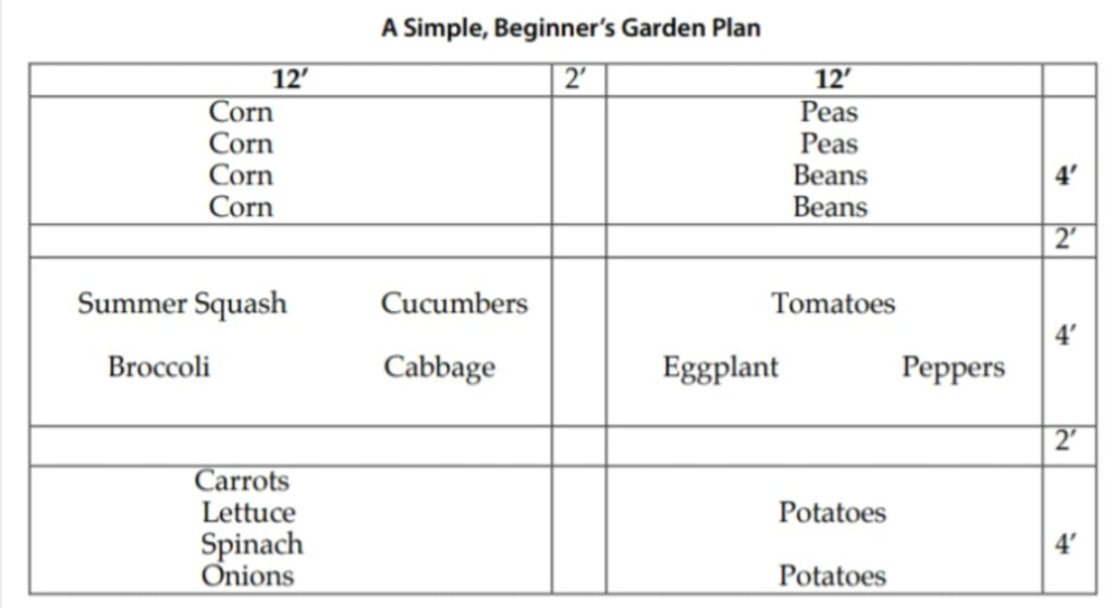 Beginner's Garden Plan
