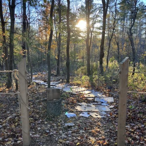 Cardboard is laid down on a path in a forest.