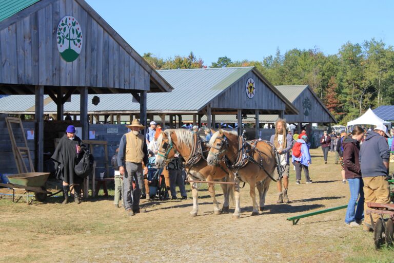 Livestock horses barns
