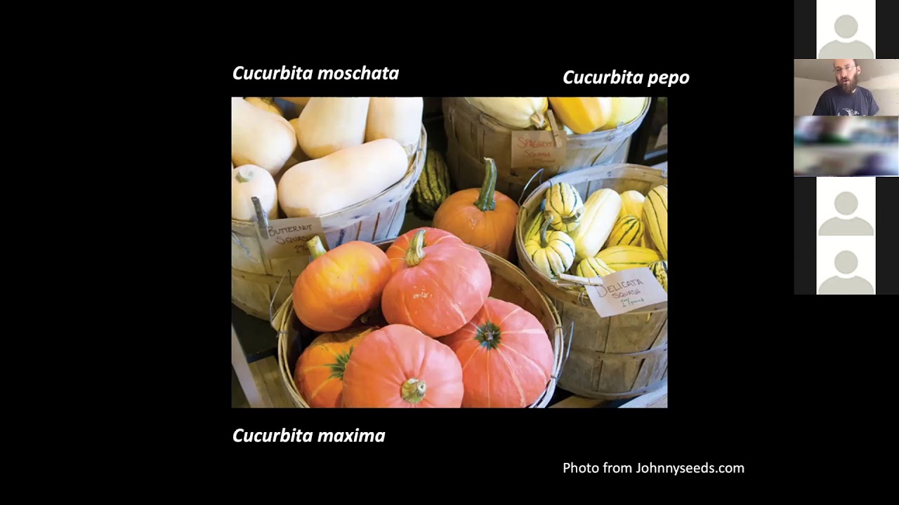 Organic Principles & Practices  Crop Production
