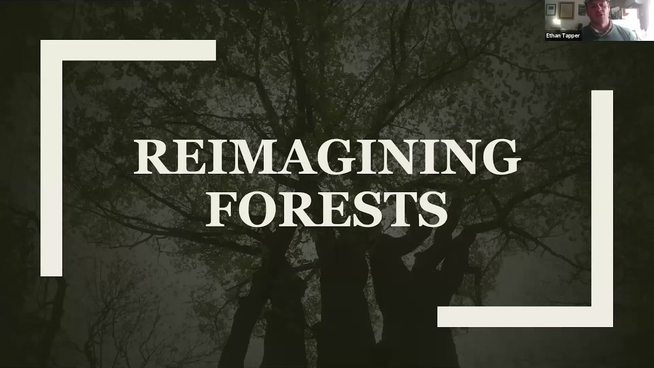 The Radical Forest Manager