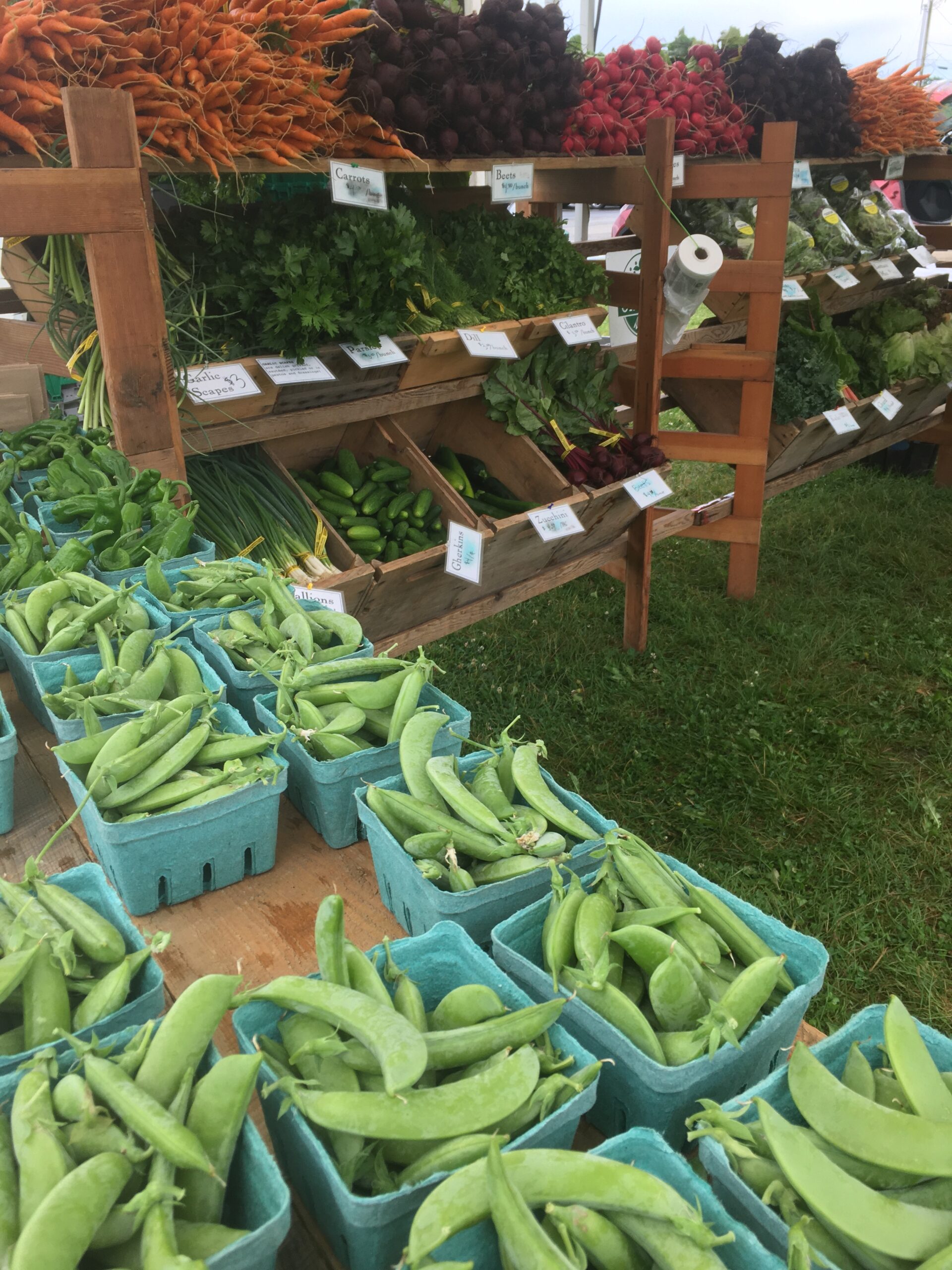Picture of Farm (2)