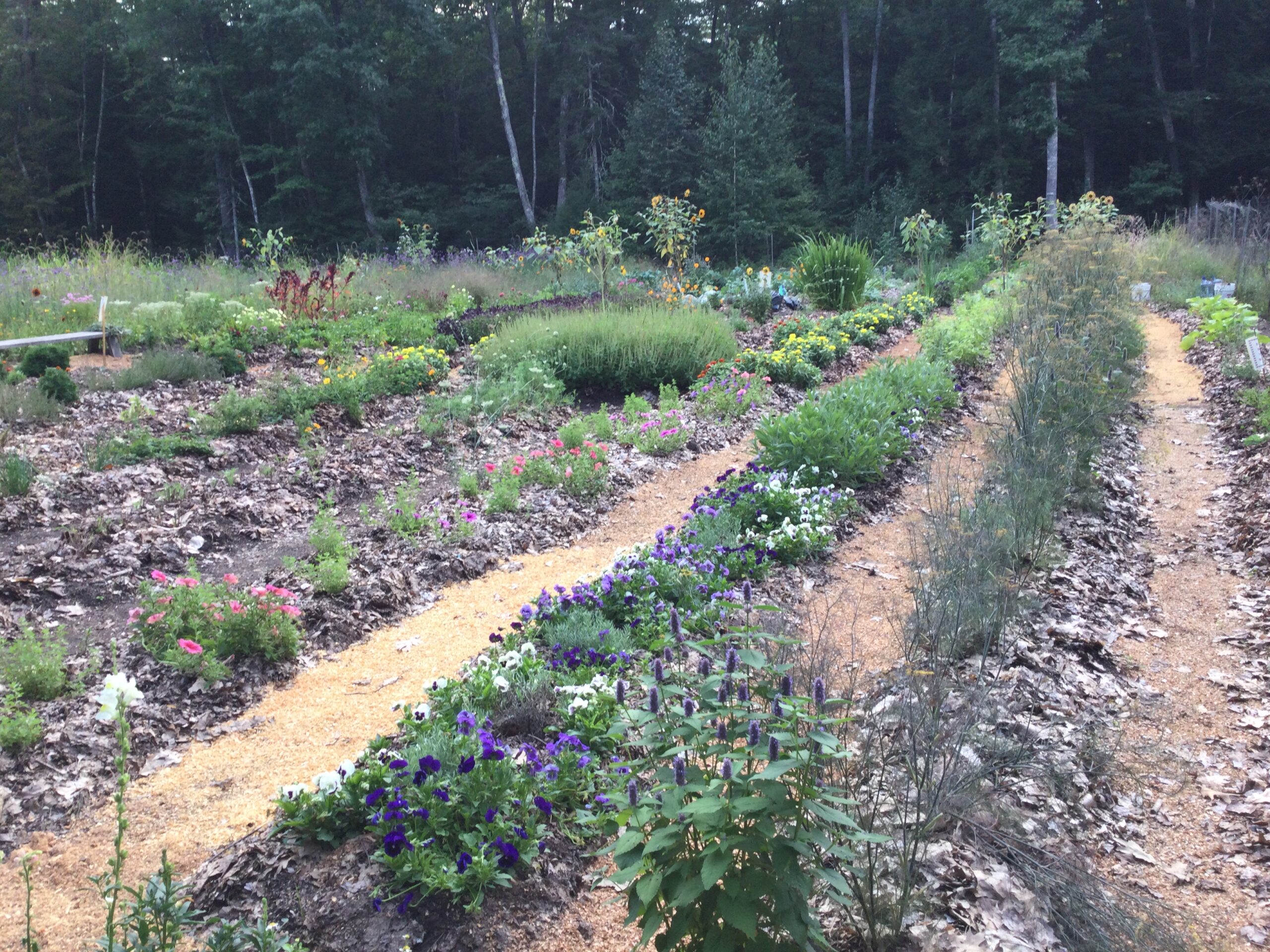 Picture of Farm (9)