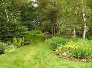 Lawn