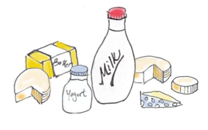 LocalDairyProducts